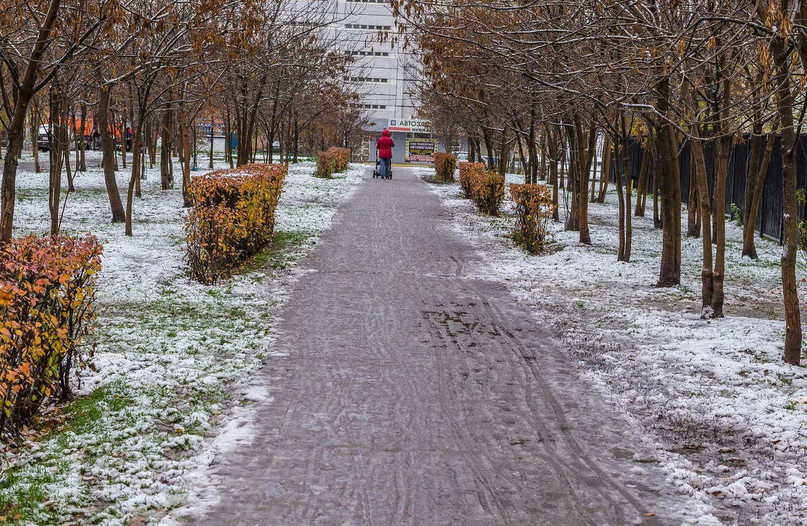 Первый снег в Москве. Москва осень со снегом. Снег осенью в Москве. Первый снег в Москве в октябре. Ноябре выпадет снег