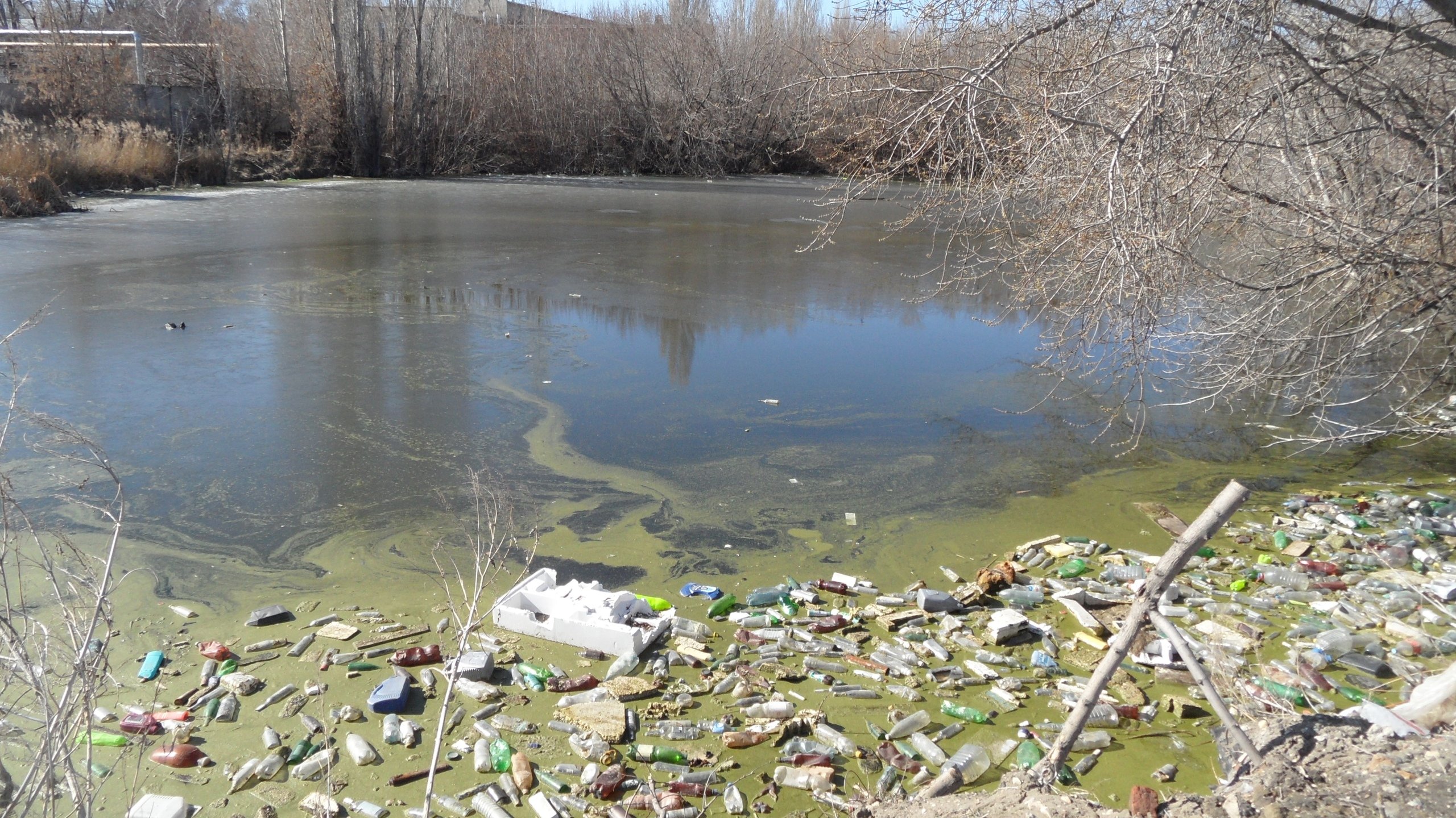 Загрязенные водоёмы в Клинском районе