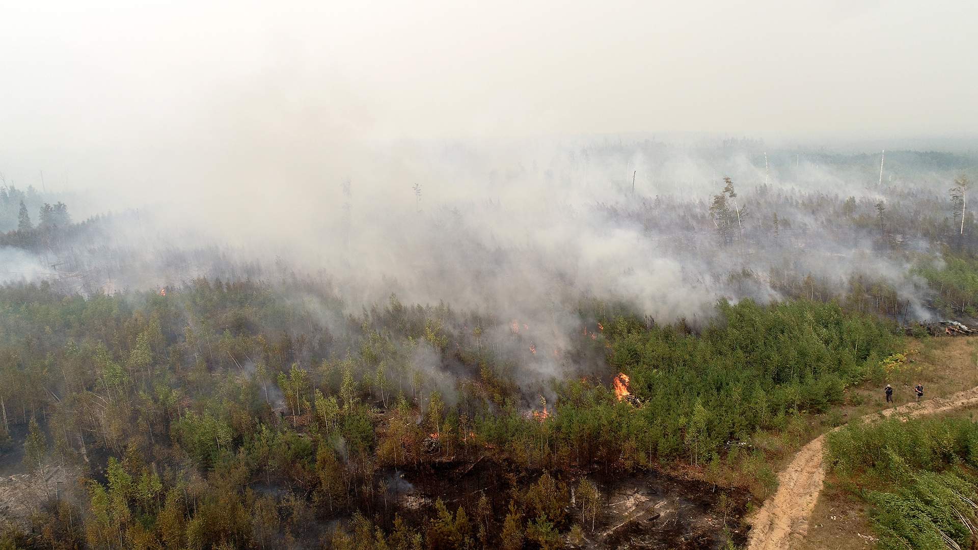 Воняет гарью. Лесные пожары в Рязанской области 2022. Пожары в Рязанской области. Лесные пожары в Рязанской области в 2022 году. Лесной пожар в России 30 августа 2022 в Рязанской области.